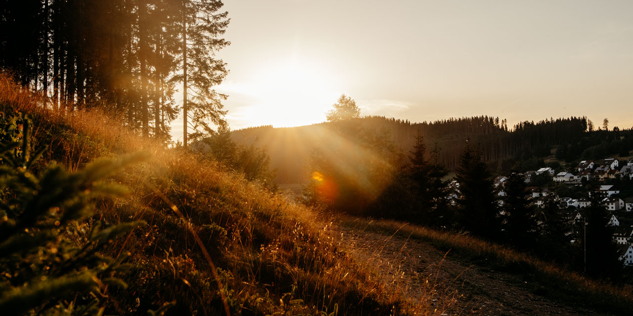 sonne_schwarzwald