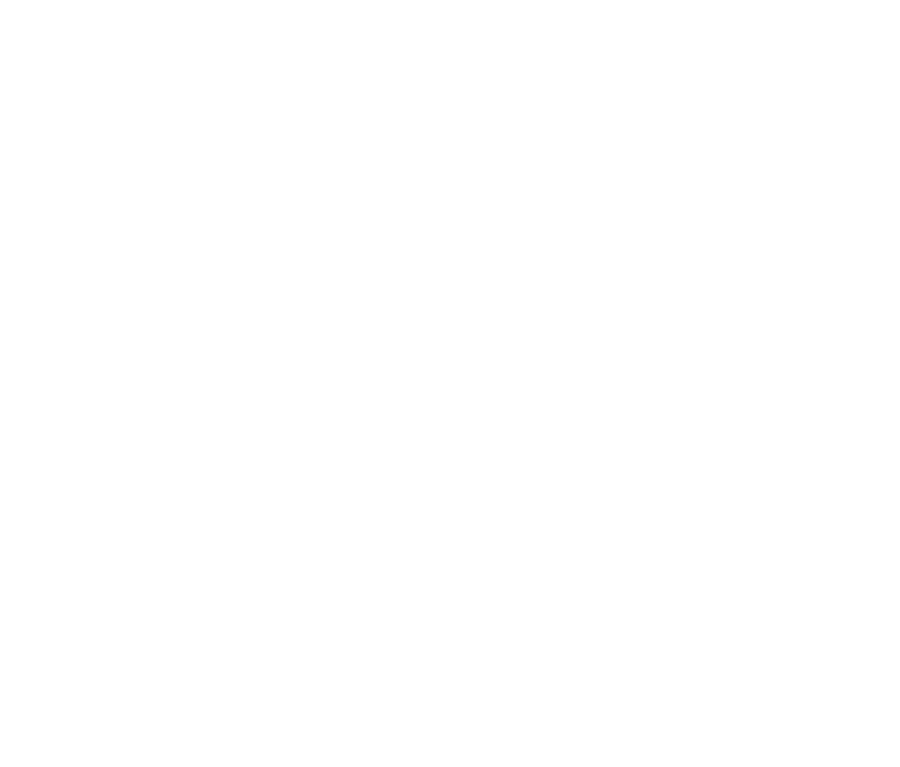 Logo_1_RZ_weiß